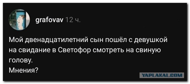 Дамский угодник⁠⁠