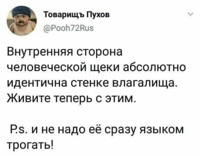 Бильдер(нем.)