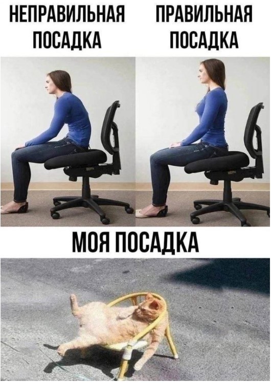 К котовторнику: подборка картинок-баянов с котиками и про котиков. Выпуск 40.