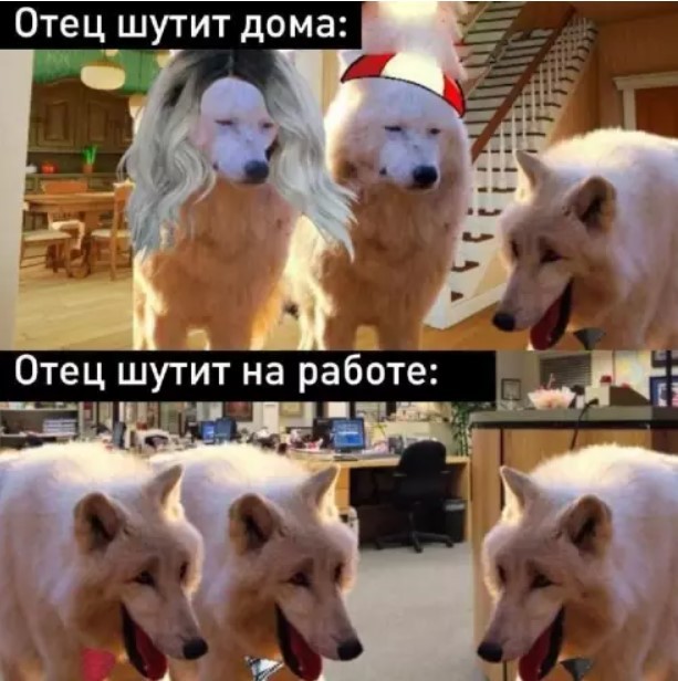 Картинки для деградации 235 (разной степени свежести)