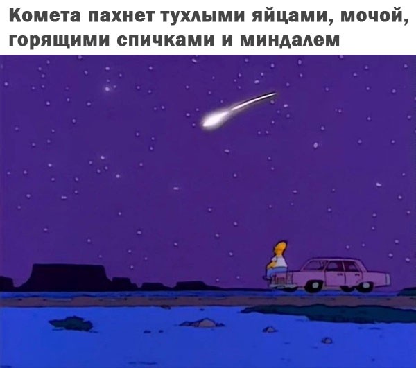 Познавательные картинки 4