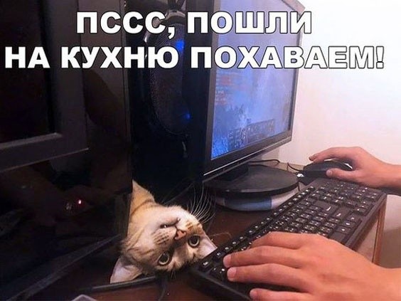 Картинки для деградации 258 ( разной степени свежести)