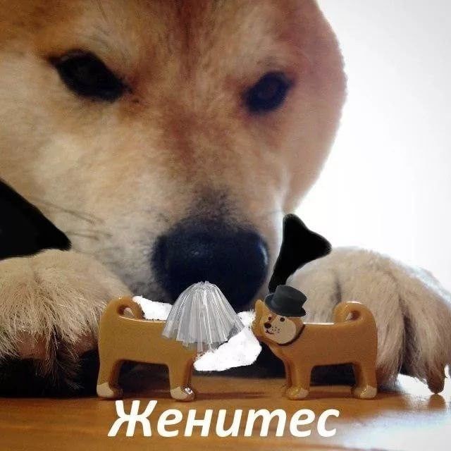 ДНК-тест