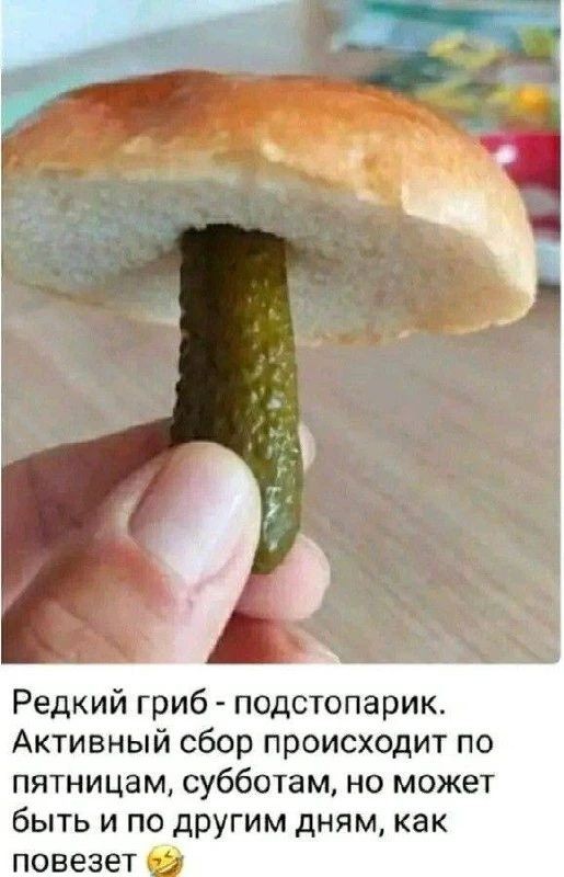 Картинки для деградации 261 (разной степени свежести)
