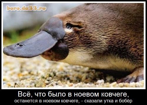 Ученые начали бурить останки Ноева Ковчега и сделали сенсационное открытие