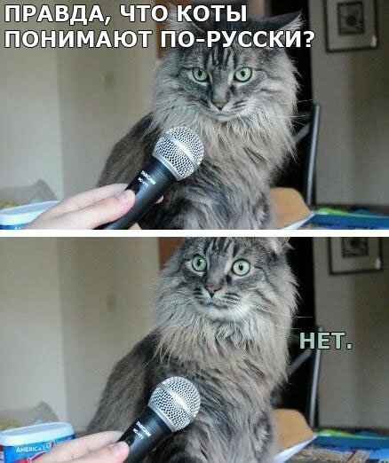 Как так?