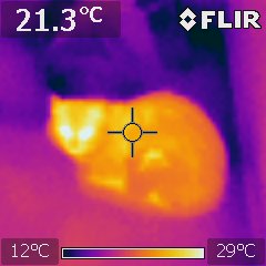 Немного о морозе инфракрасным зрением