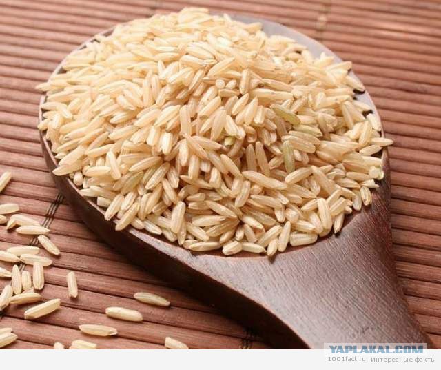 Интересные факты о японском рисе