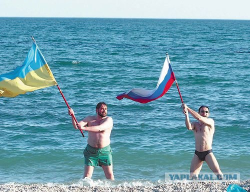 Русские против Украинцев