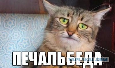 Нежданчик по-женски