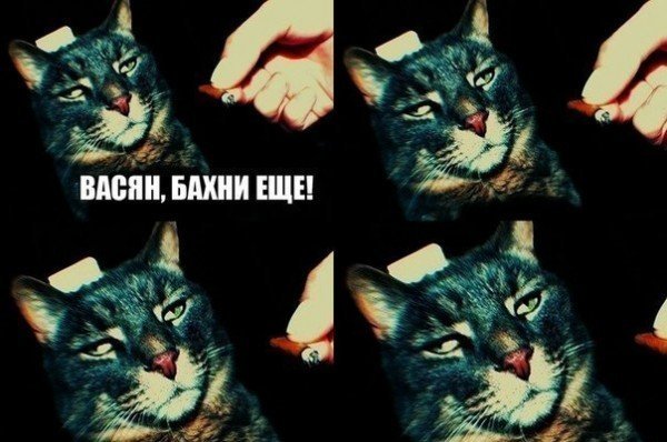 Там, на неведомых...