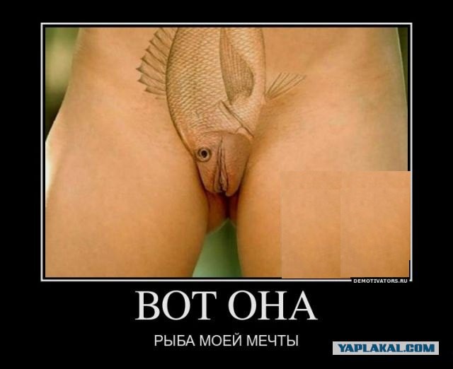 Давно демотиваторов не было