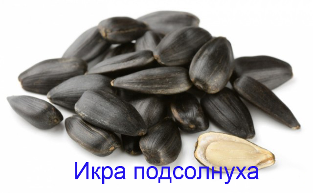 Называйте вещи своими именами