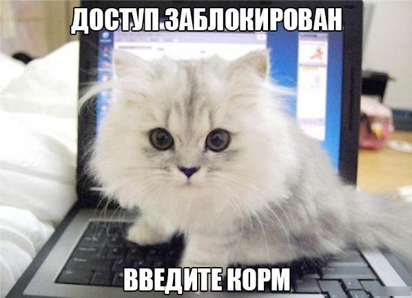 Веселая подборка