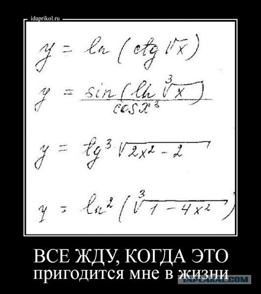 Современные Митрофанушки