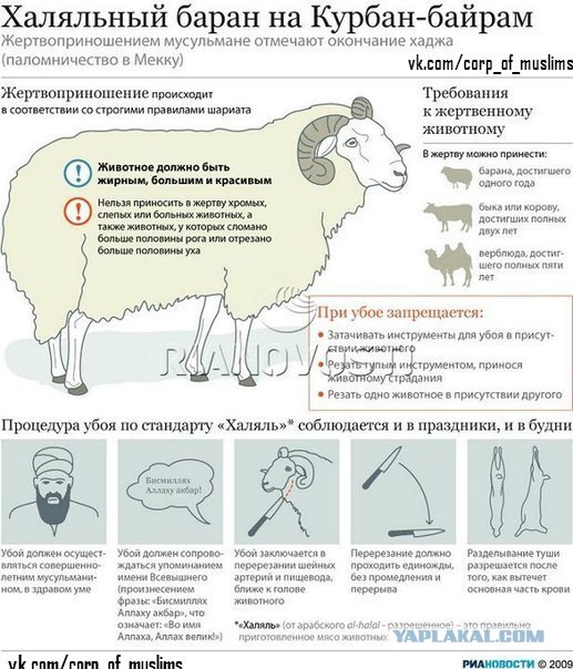 Праздничная эвакуация