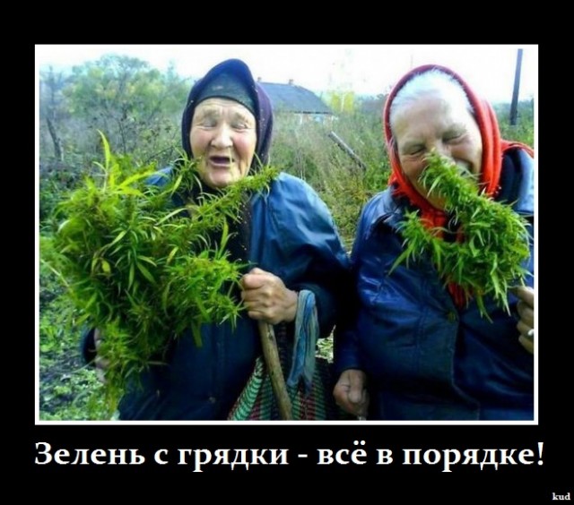 Coubы из фильма ДМБ