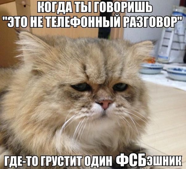 Подборка веселостей из сети
