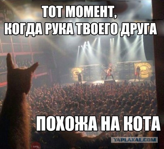 Пятница!