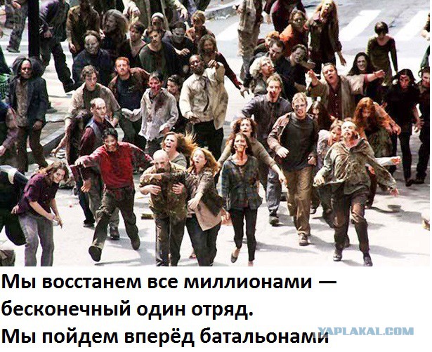 Анастасия Дмитрук «Никогда мы не будем братьями»