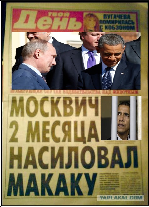 Картинки из соцстей