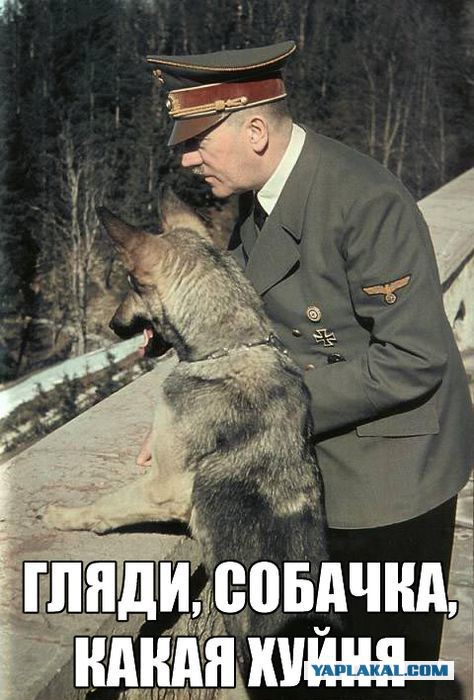 Меркель в Сибирь, Путина в Берлин