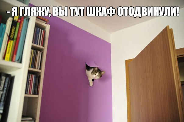 Депрессивный понедельник
