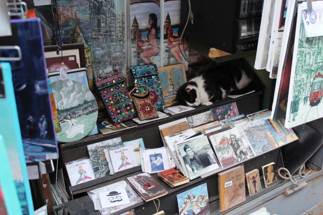 Бездомный кот и знакомый-мудак