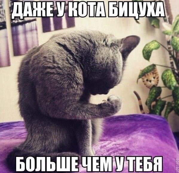 Подборка Картинок из сети