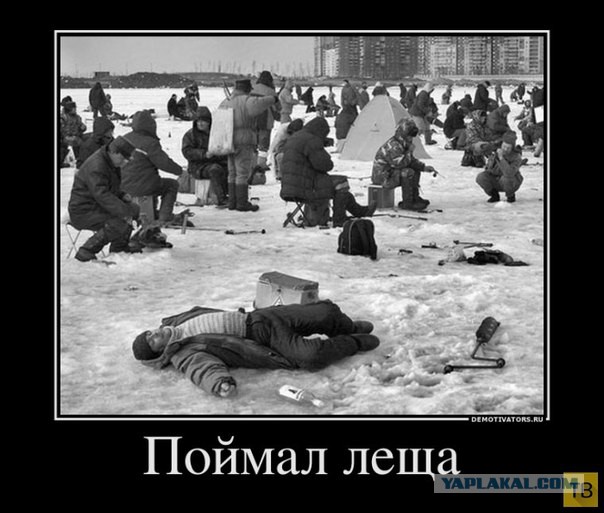 Весёлые картинки в чёрной рамке