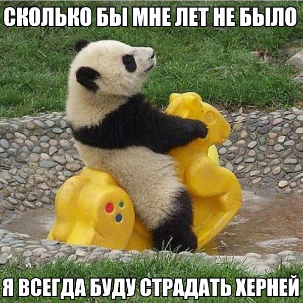 Картинки из ваших этих итернетов...
