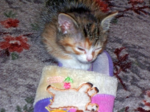 Подборка картинок 20.02.16