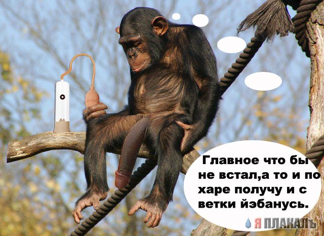 Грустный самец