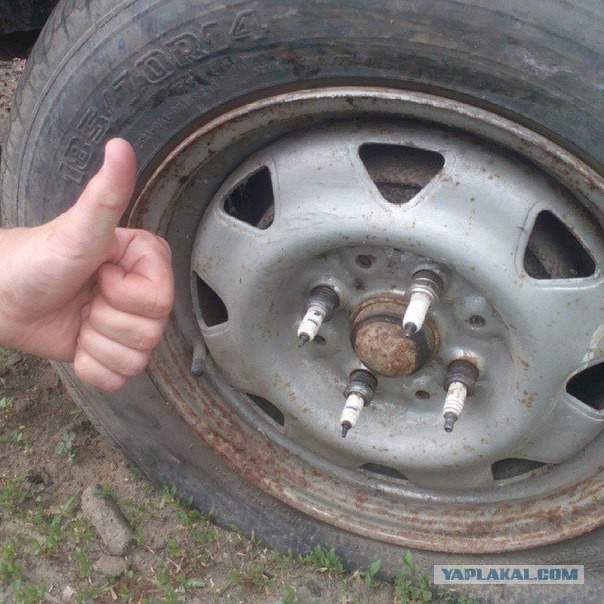 Картинки из интернетов