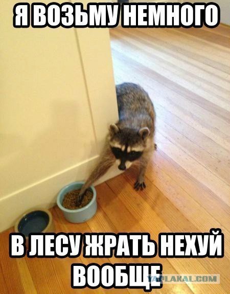 Смешные картинки