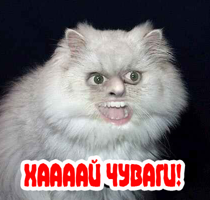Вторничный котомёт!