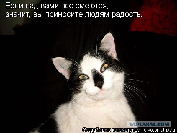 Ищу жену. Есть желающие?