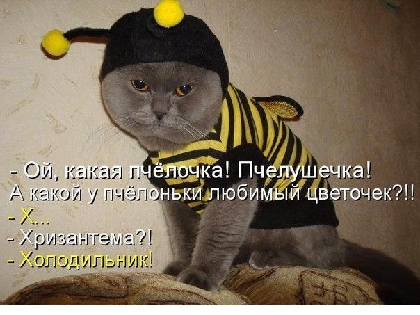 Мохнатые беспредельщики