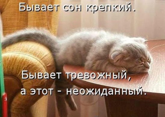 Мохнатые беспредельщики