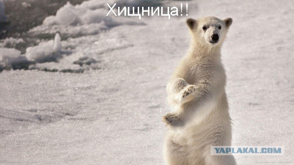 52-летняя британка, соблазнившая более 250 мужчин помоложе