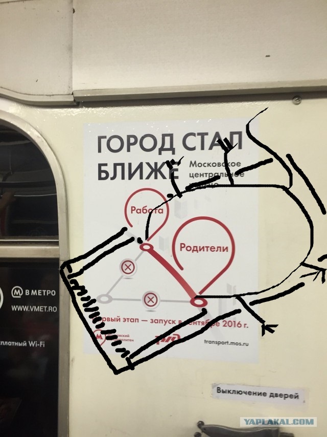 Найдите дохлую мышь