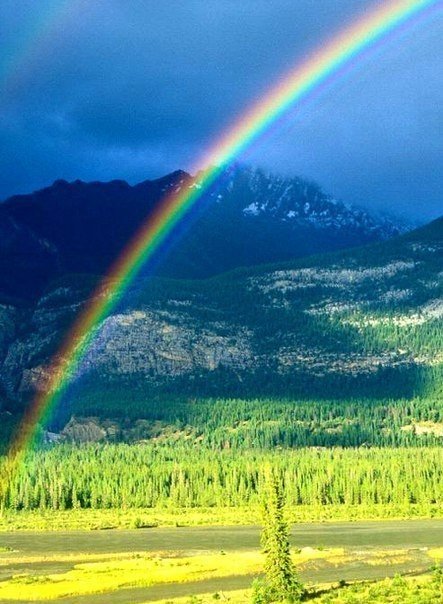 Моменты, запечатлённые на фото и просто позитив 5