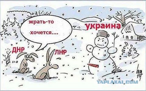 ДНР и ЛНР призвали Россию, США и Германию остановить преступления ВСУ в Донбассе