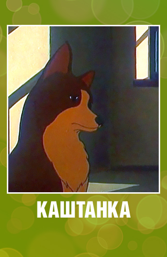 Любимцы детства: животные, которые вызывали умиление всего Советского Союза
