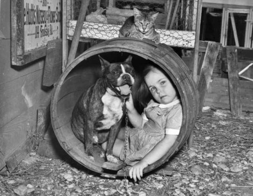 Интересные и редкие ретро-фотографии