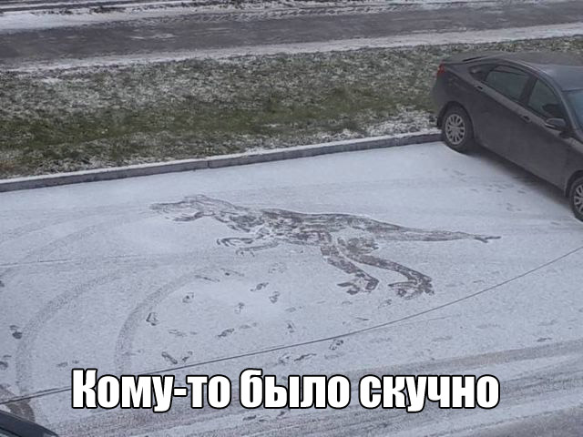 Подборка интересных и веселых картинок