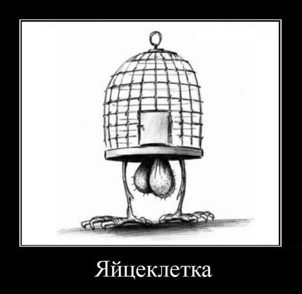 А сегодня Вы деградировали?