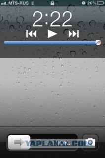 Волшебные грибочки