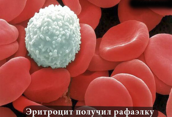 Деградация по-медицински