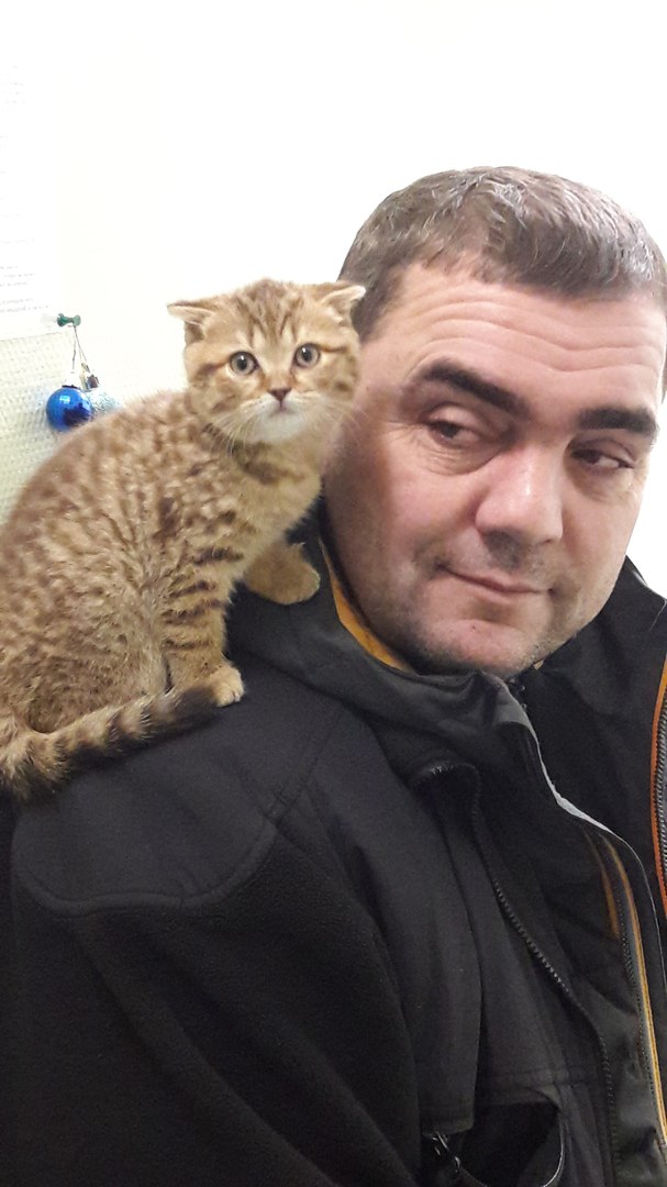 Котовторник 9.01.2018